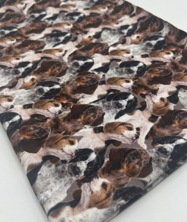 Cute Puppies Cotton Stretch Jersey 200 GSM 95/5 Lycra 4 Way Stretch