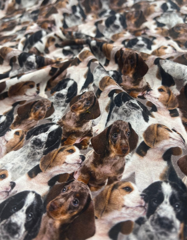 Cute Puppies Cotton Stretch Jersey 200 GSM 95/5 Lycra 4 Way Stretch