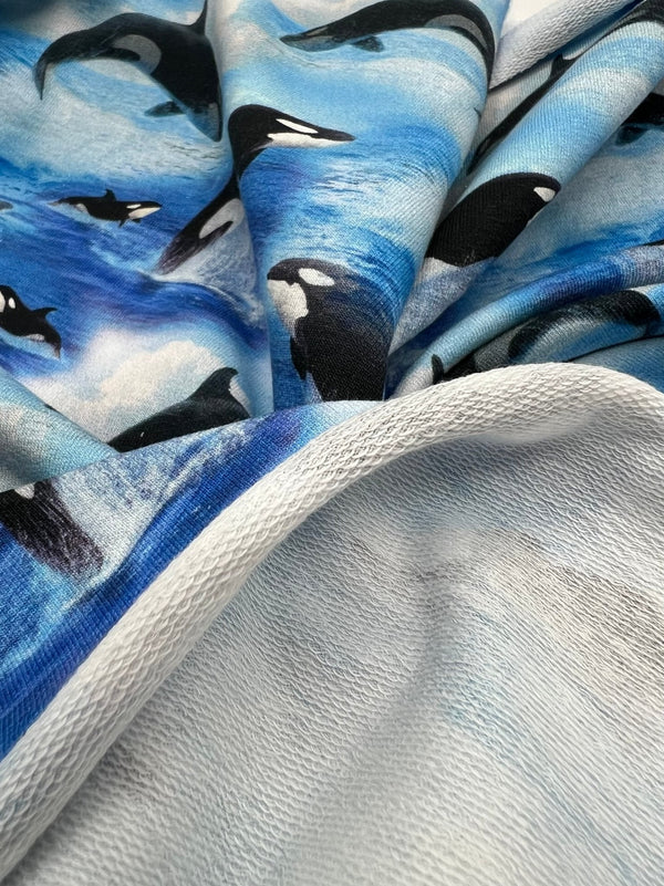 Whales French Terry Loopback Cotton Jersey Lycra 4 Way Stretch