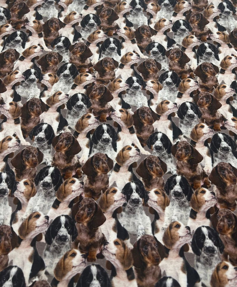 Cute Puppies Cotton Stretch Jersey 200 GSM 95/5 Lycra 4 Way Stretch