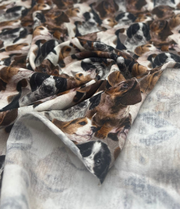 Cute Puppies Cotton Stretch Jersey 200 GSM 95/5 Lycra 4 Way Stretch