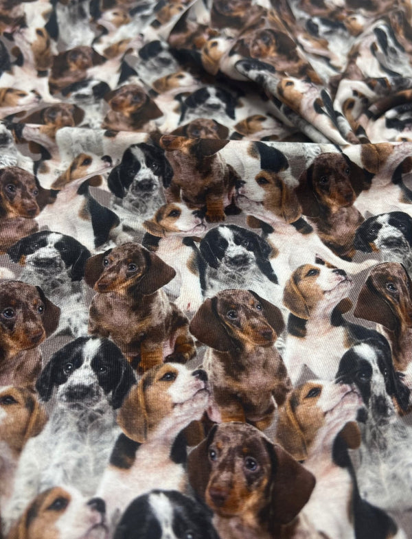 Cute Puppies Cotton Stretch Jersey 200 GSM 95/5 Lycra 4 Way Stretch